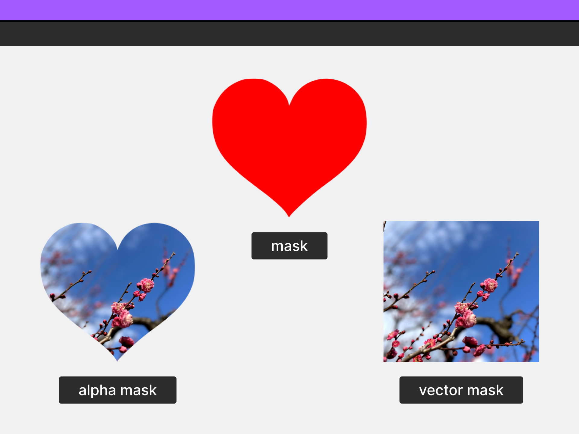 heart png used in an alpha mask and a vector mask