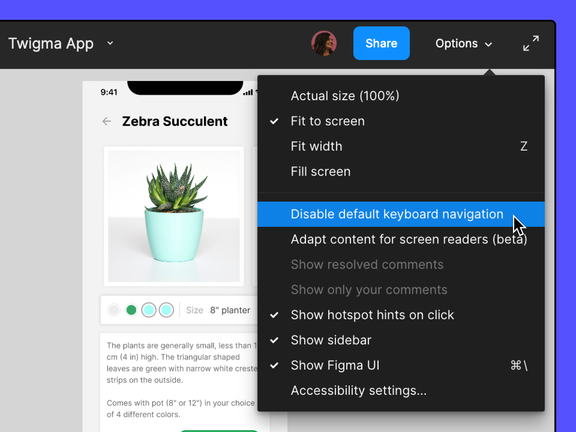 Presentation_options___Disable_default_keyboard_navigation.png