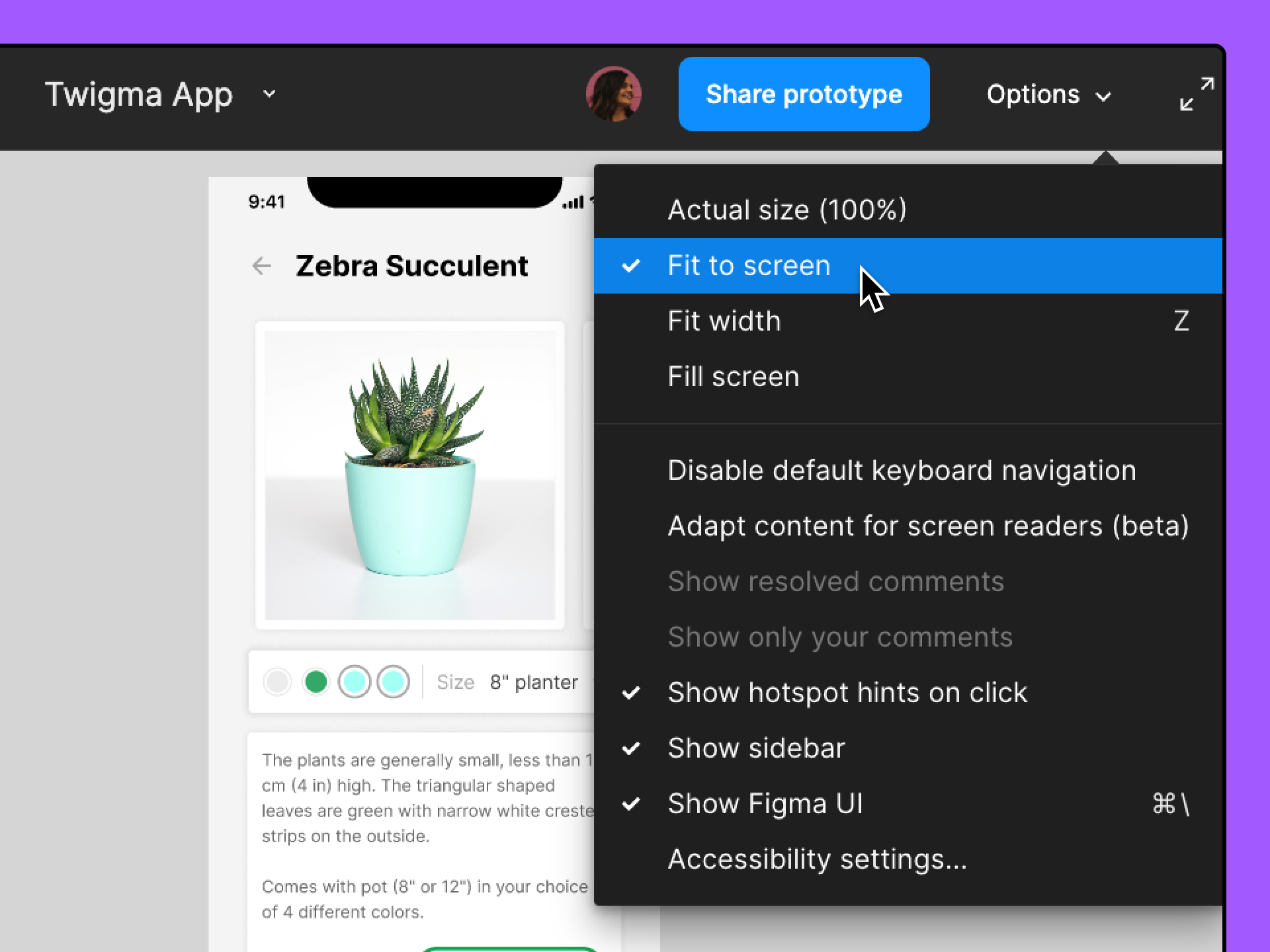Presentation_view_option_menu_-_shows_scale_optionss.png