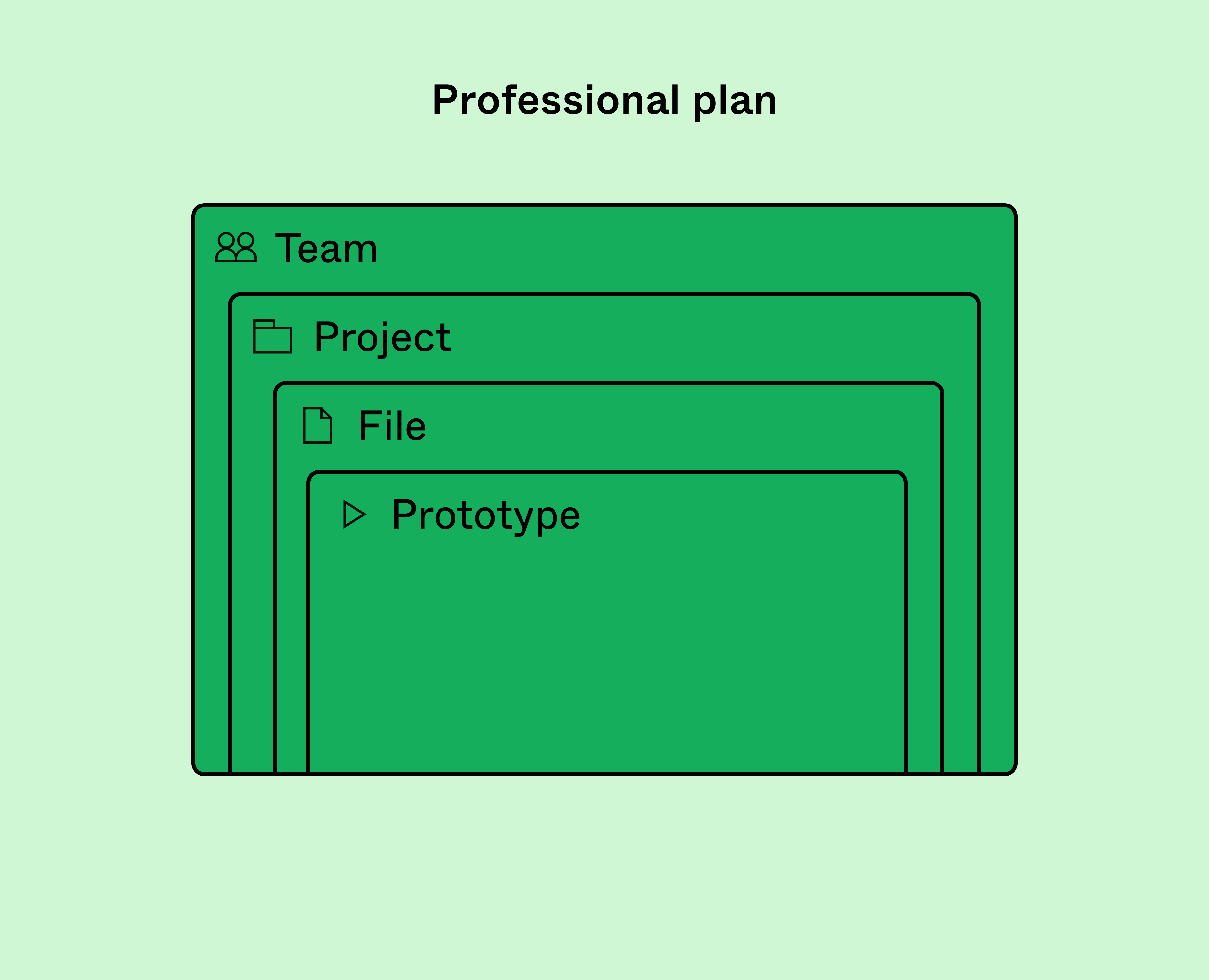 Share the team, projects, files, or prototypes on the Professional plan
