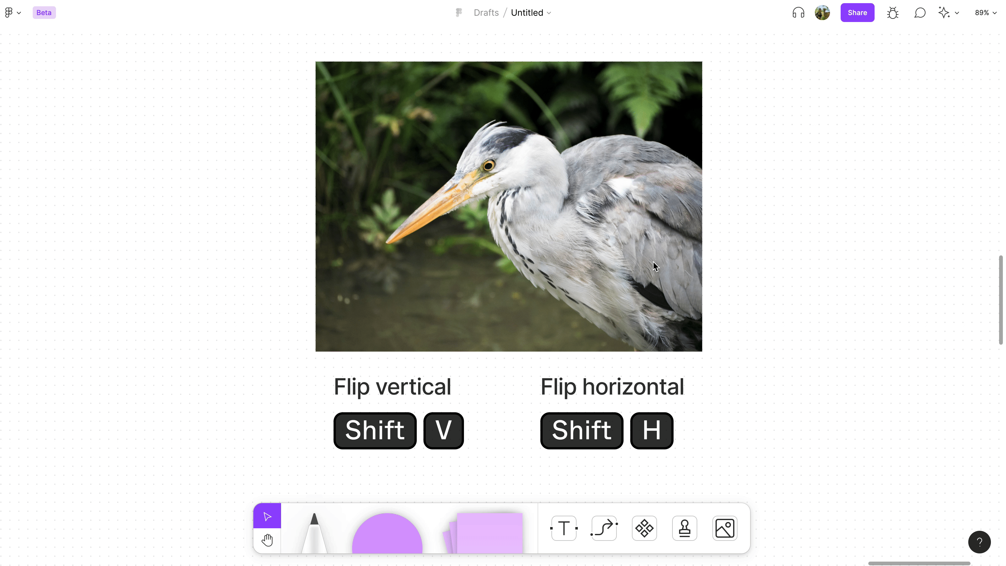 Using shortcuts to flip an image of a bird vertically and horizontally