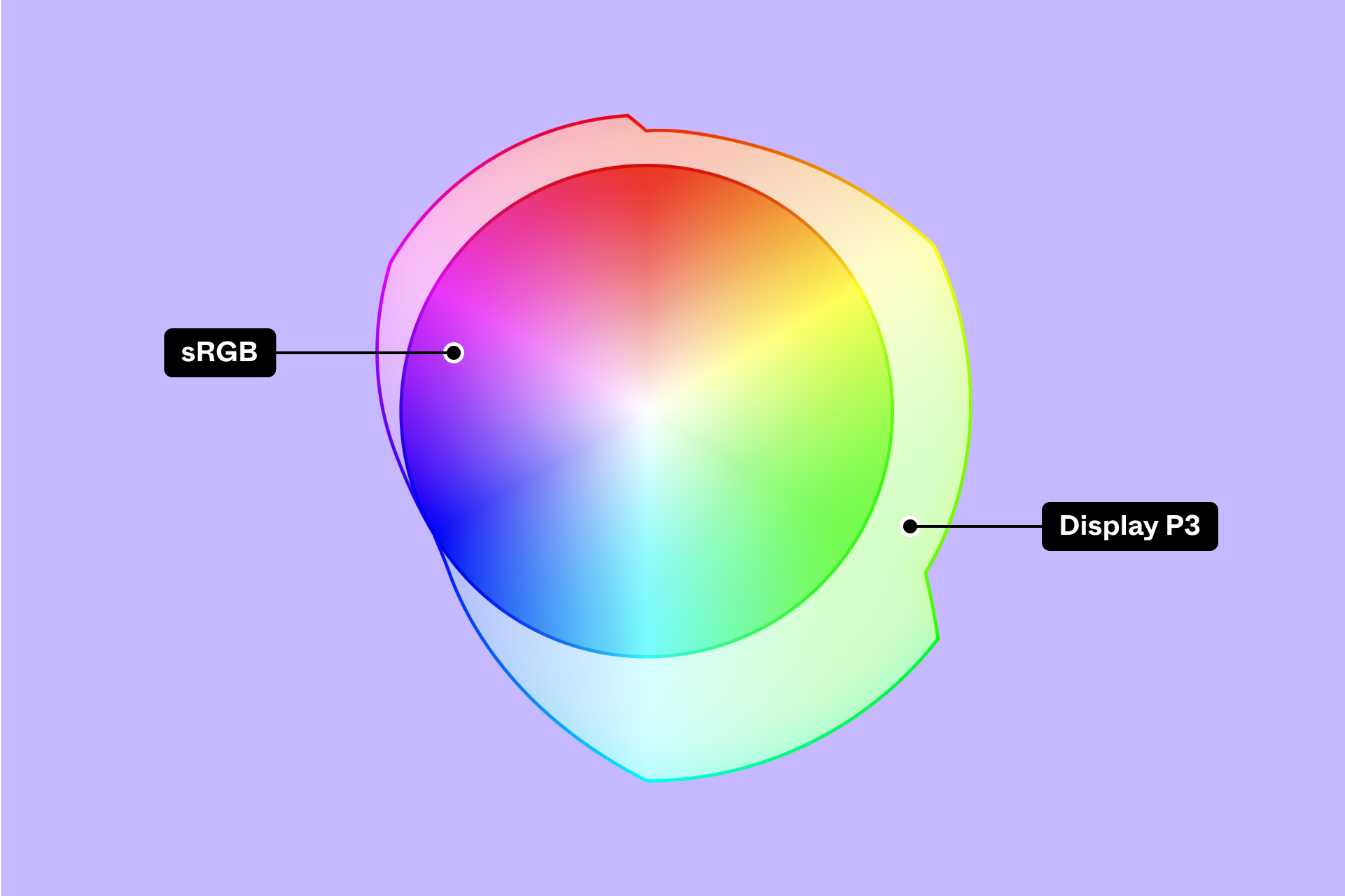 couleur User Profile