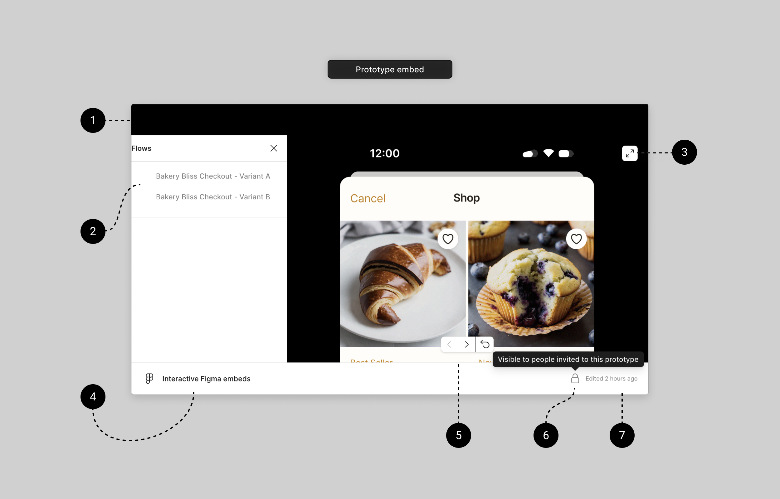 Annotated prototype embed (1).png