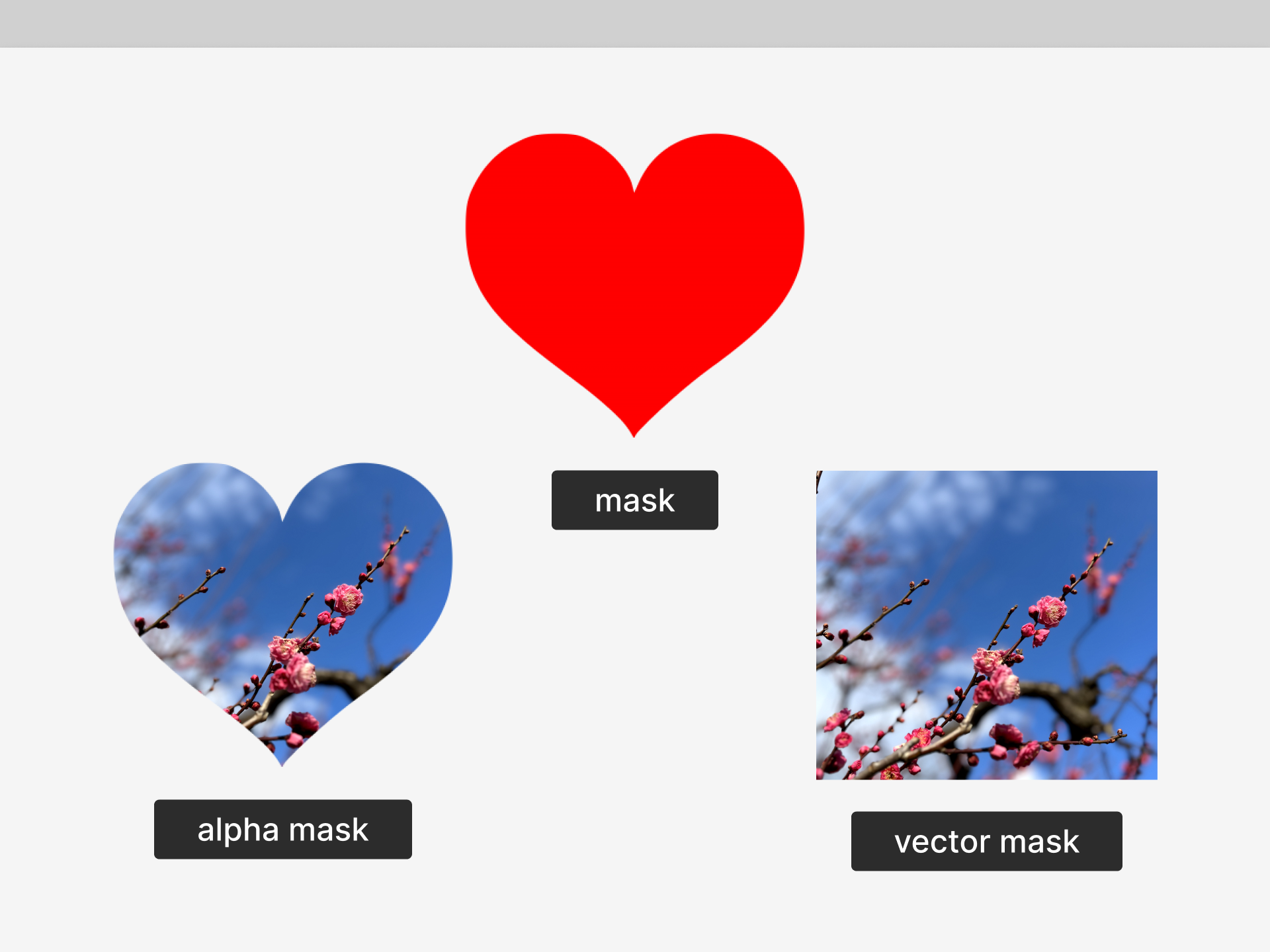 heart png used in an alpha mask and a vector mask