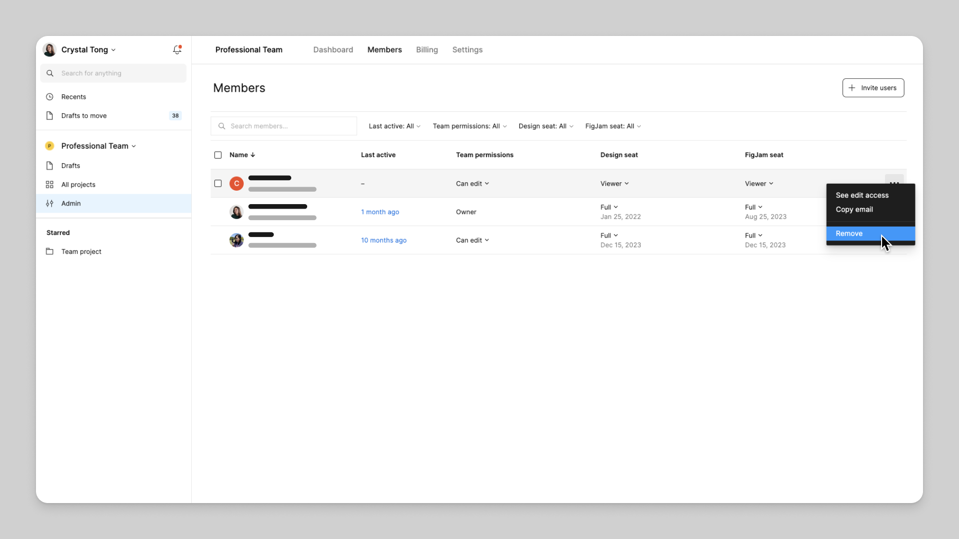 Mitglieder-Tab in der Admin-Ansicht eines Professional-Teams. Der Cursor hat das Optionsmenü rechts geöffnet und bewegt sich im Menü über die Option „Entfernen“.