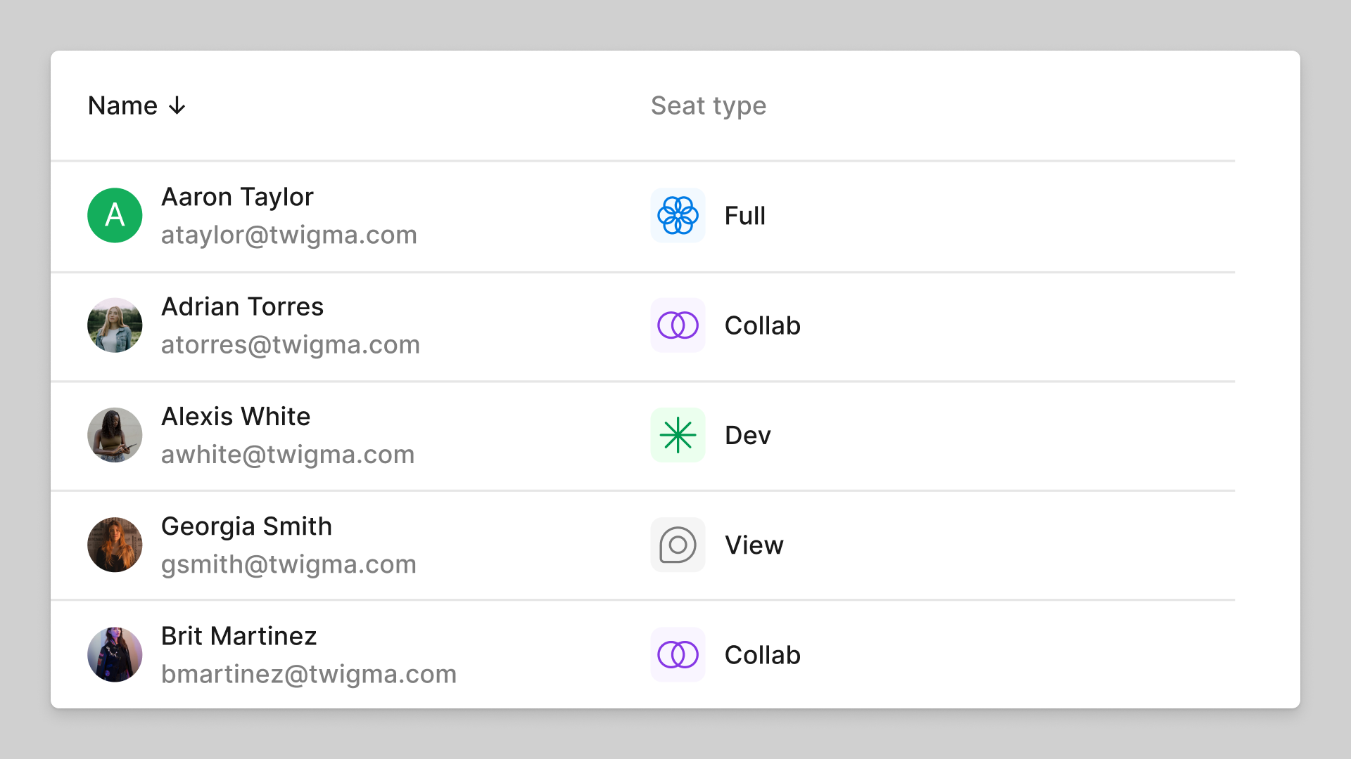 Das zukünftige Lizenzverwaltungssystem von Figma. Jede*r Nutzer*in in der Tabelle hat nur einen Lizenztyp zu verwalten.