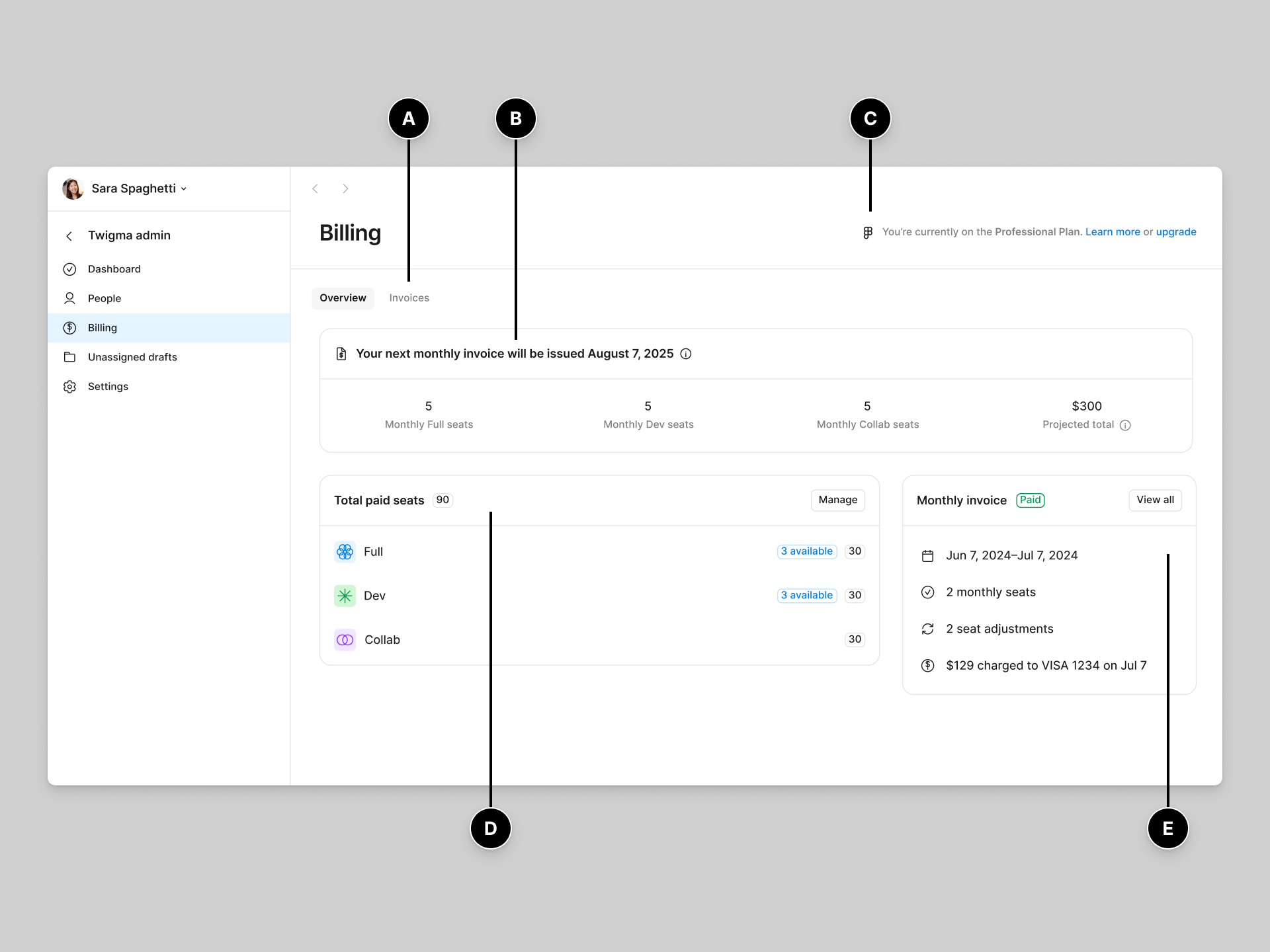 Page de vue d'ensemble de la facturation sur le forfait professionnel.