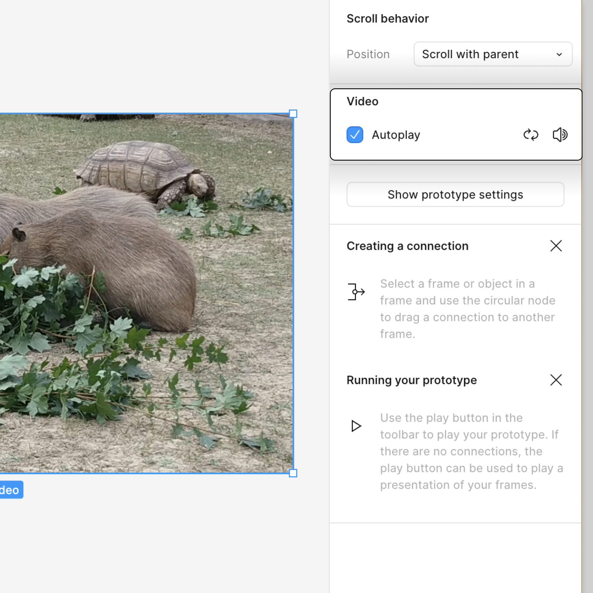 Prototype Autoplay Video.png