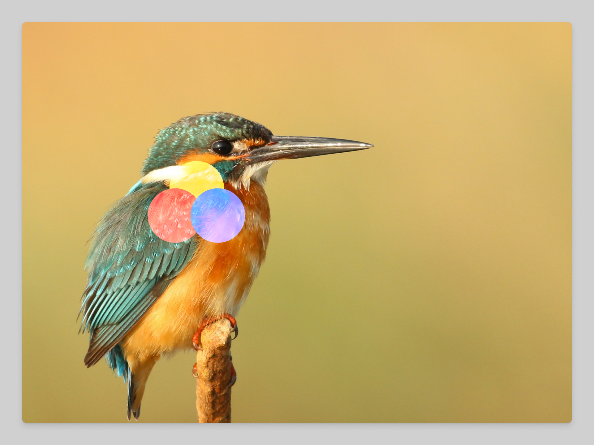 Screen blend mode (1).png