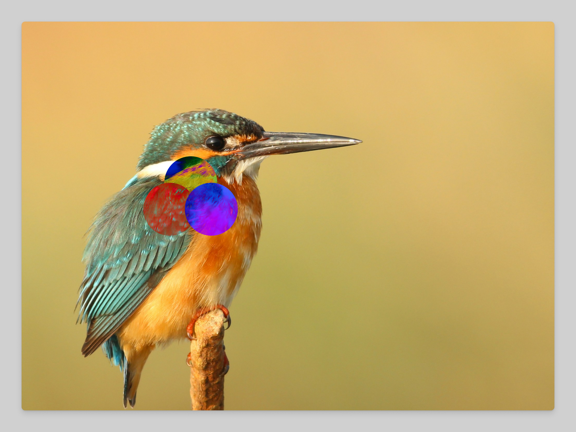 Difference blend mode (1).png
