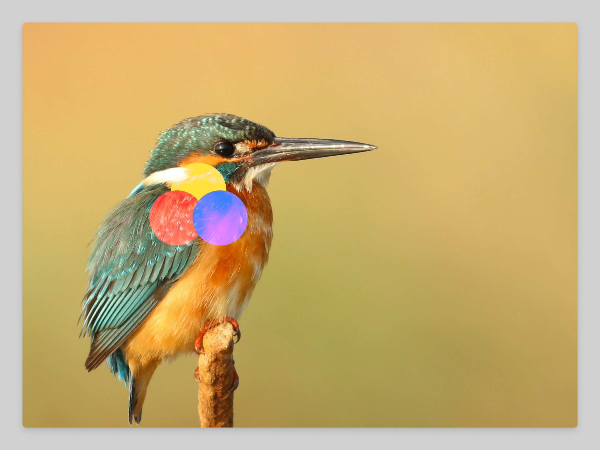 Lighten blend mode (1).png