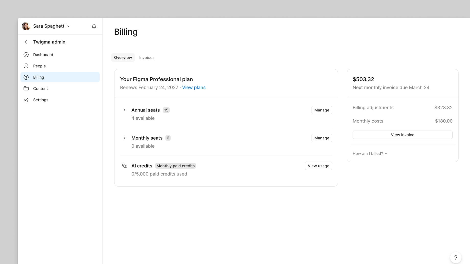 The billing overview page on the Professional plan.