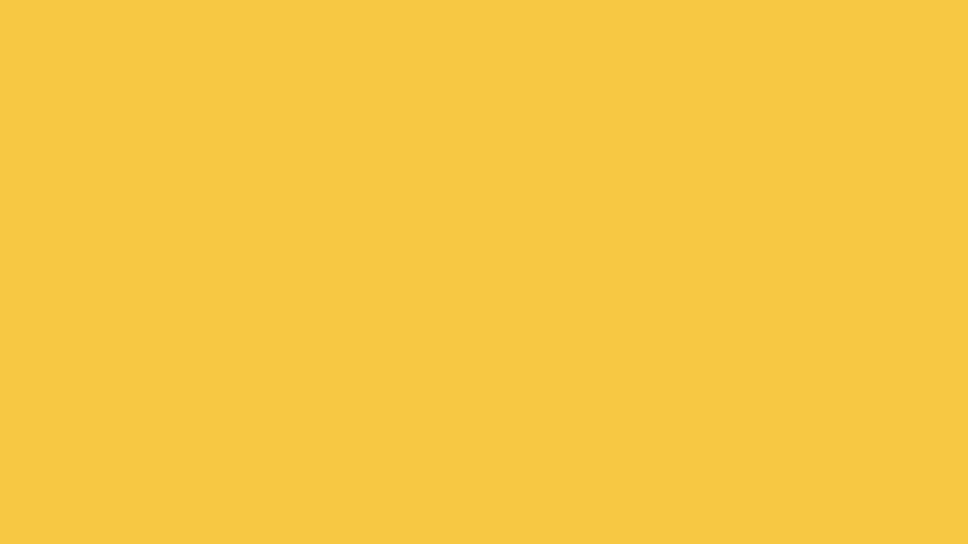 VIDEO_2_ASSET_4.gif